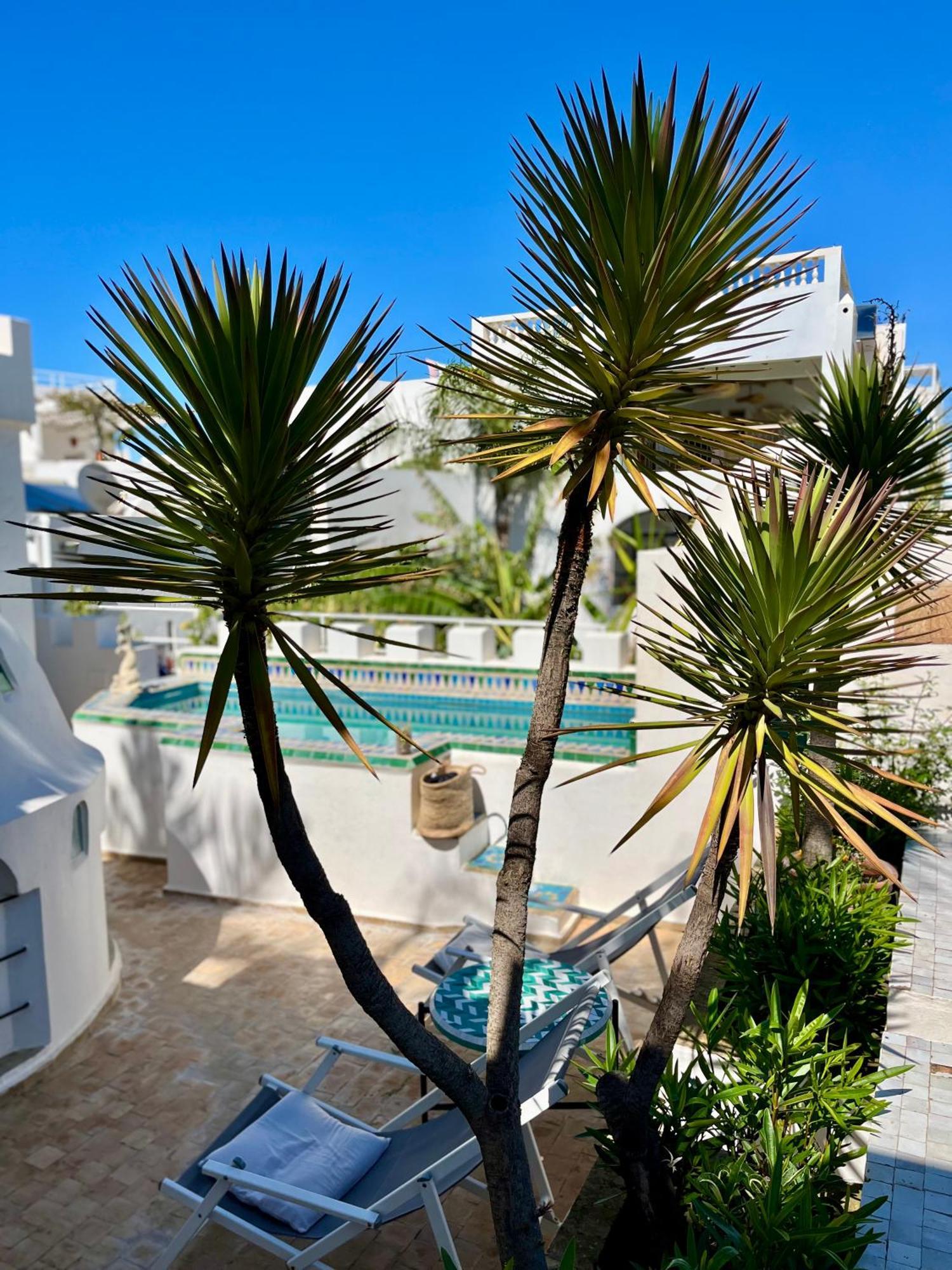 Riad Oasis D'Асила Екстериор снимка